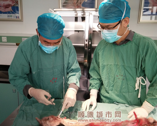 53331476383930.jpg 53331476383930.jpg